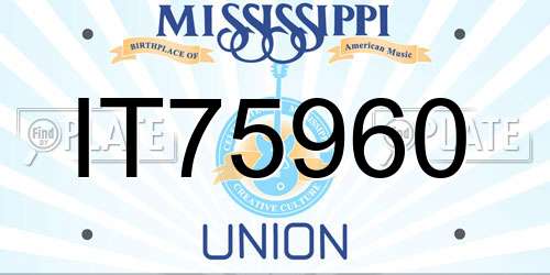 IT75960 Mississippi License Plate