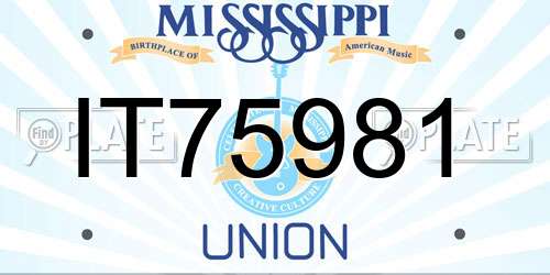 IT75981 Mississippi License Plate