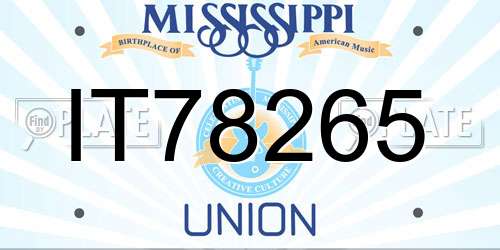 IT78265 Mississippi License Plate