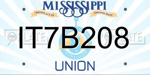 IT7B208 Mississippi License Plate