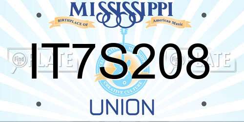 IT7S208 Mississippi License Plate