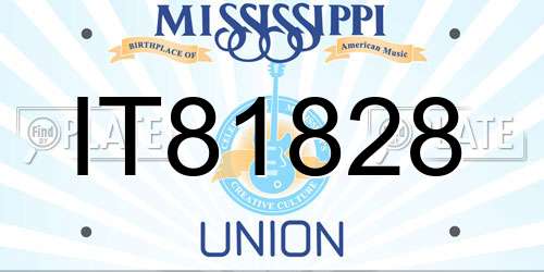 IT81828 Mississippi License Plate