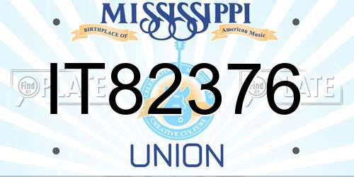 IT82376 Mississippi License Plate