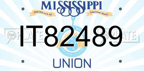 IT82489 Mississippi License Plate
