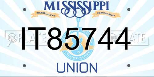 IT85744 Mississippi License Plate