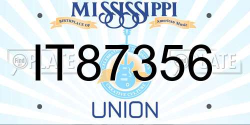IT87356 Mississippi License Plate