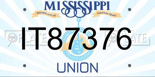 IT87376 Mississippi License Plate