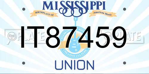 IT87459 Mississippi License Plate