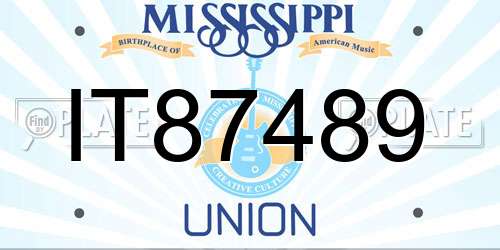 IT87489 Mississippi License Plate