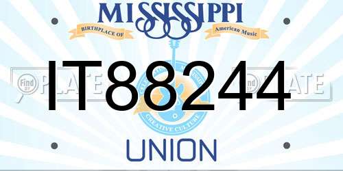 IT88244 Mississippi License Plate