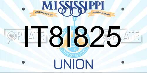 IT8I825 Mississippi License Plate