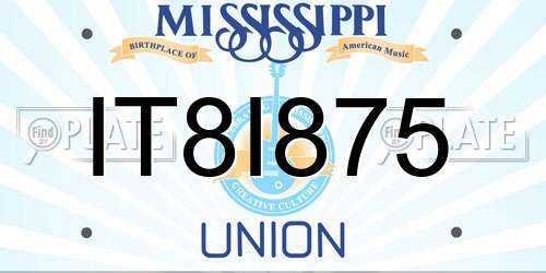 IT8I875 Mississippi License Plate