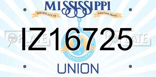 IZ16725 Mississippi License Plate