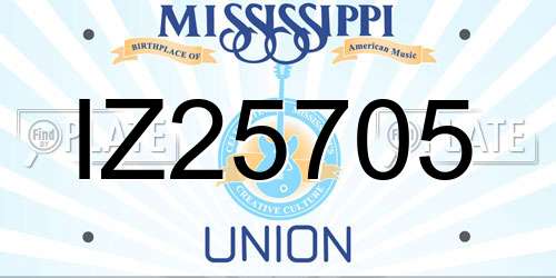 IZ25705 Mississippi License Plate