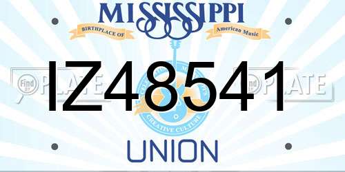 IZ48541 Mississippi License Plate