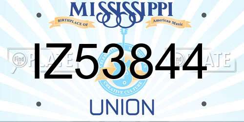 IZ53844 Mississippi License Plate