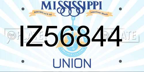IZ56844 Mississippi License Plate