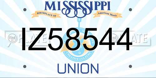 IZ58544 Mississippi License Plate