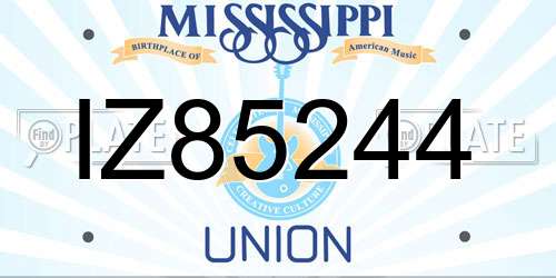 IZ85244 Mississippi License Plate
