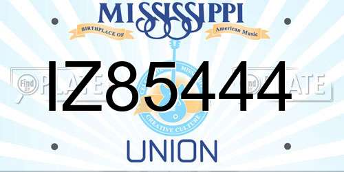 IZ85444 Mississippi License Plate