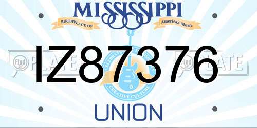IZ87376 Mississippi License Plate