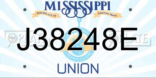 J38248E Mississippi License Plate
