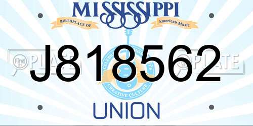 J818562 Mississippi License Plate