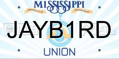 JAYB1RD Mississippi License Plate