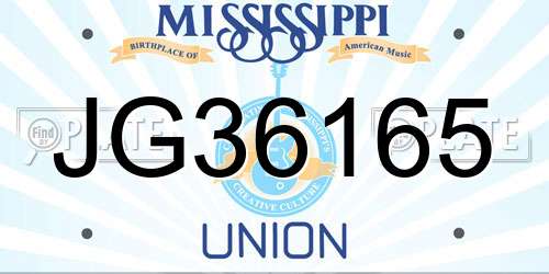 JG36165 Mississippi License Plate