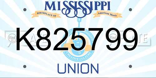 K825799 Mississippi License Plate