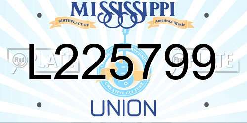 L225799 Mississippi License Plate