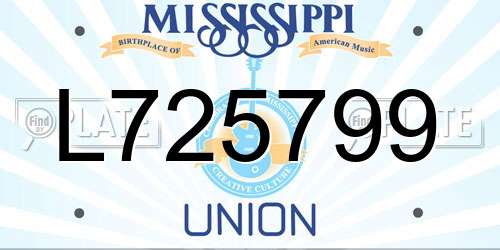 L725799 Mississippi License Plate