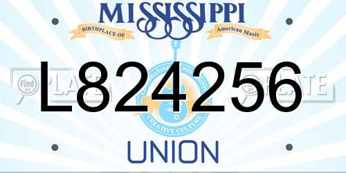 L824256 Mississippi License Plate