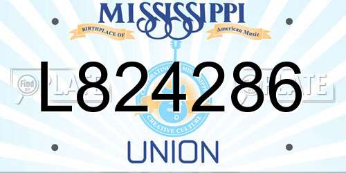 L824286 Mississippi License Plate