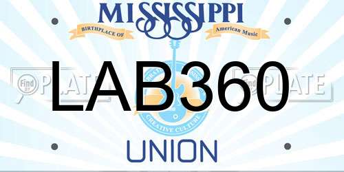 LAB360 Mississippi License Plate