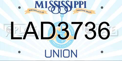 LAD3736 Mississippi License Plate