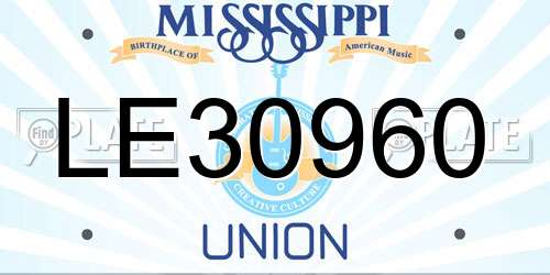 LE30960 Mississippi License Plate