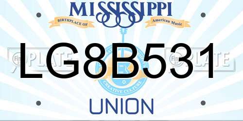 LG8B531 Mississippi License Plate