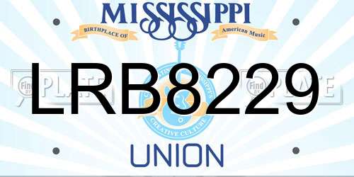 LRB8229 Mississippi License Plate
