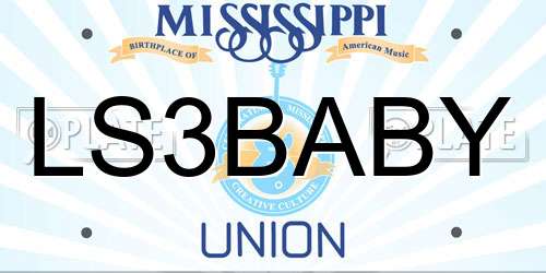 LS3BABY Mississippi License Plate