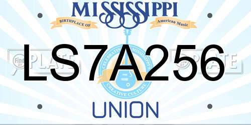LS7A256 Mississippi License Plate
