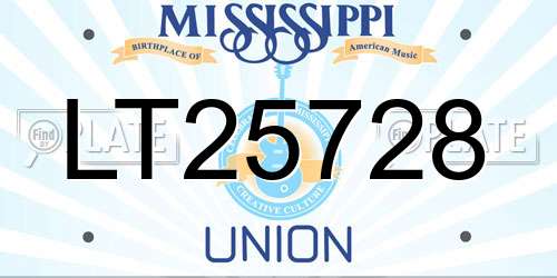 LT25728 Mississippi License Plate