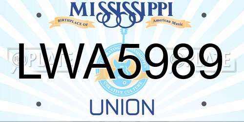 LWA5989 Mississippi License Plate