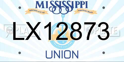 LX12873 Mississippi License Plate