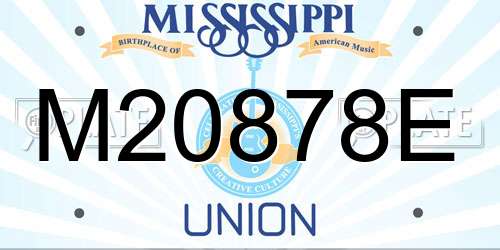 M20878E Mississippi License Plate