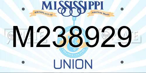 M238929 Mississippi License Plate
