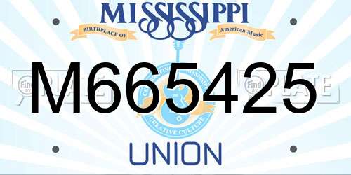 M665425 Mississippi License Plate