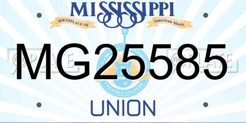 MG25585 Mississippi License Plate