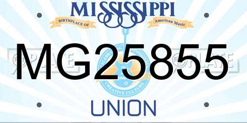 MG25855 Mississippi License Plate