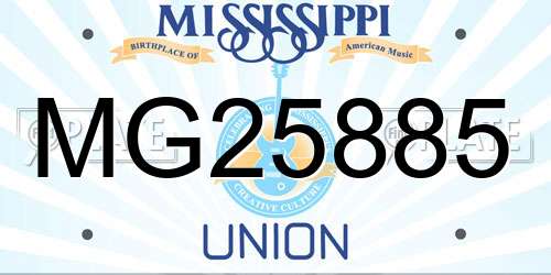 MG25885 Mississippi License Plate